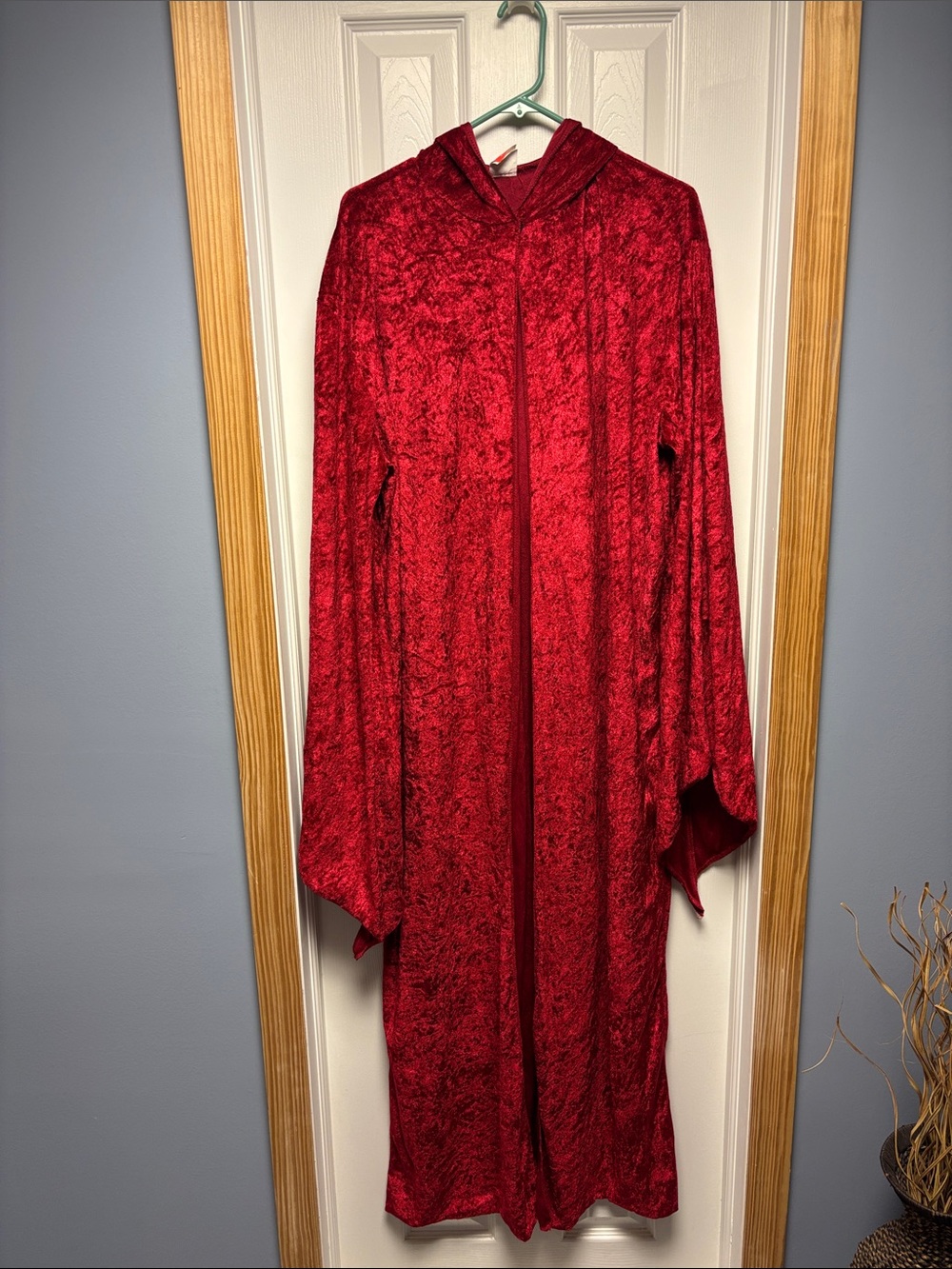 Disguise Red Velvet Hooded Costume Duster